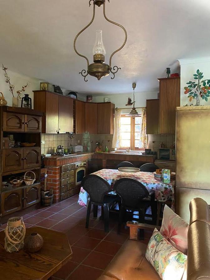 فيلا Casa Riotempo + Jangada تومار المظهر الخارجي الصورة