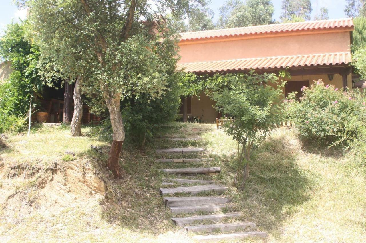 فيلا Casa Riotempo + Jangada تومار المظهر الخارجي الصورة